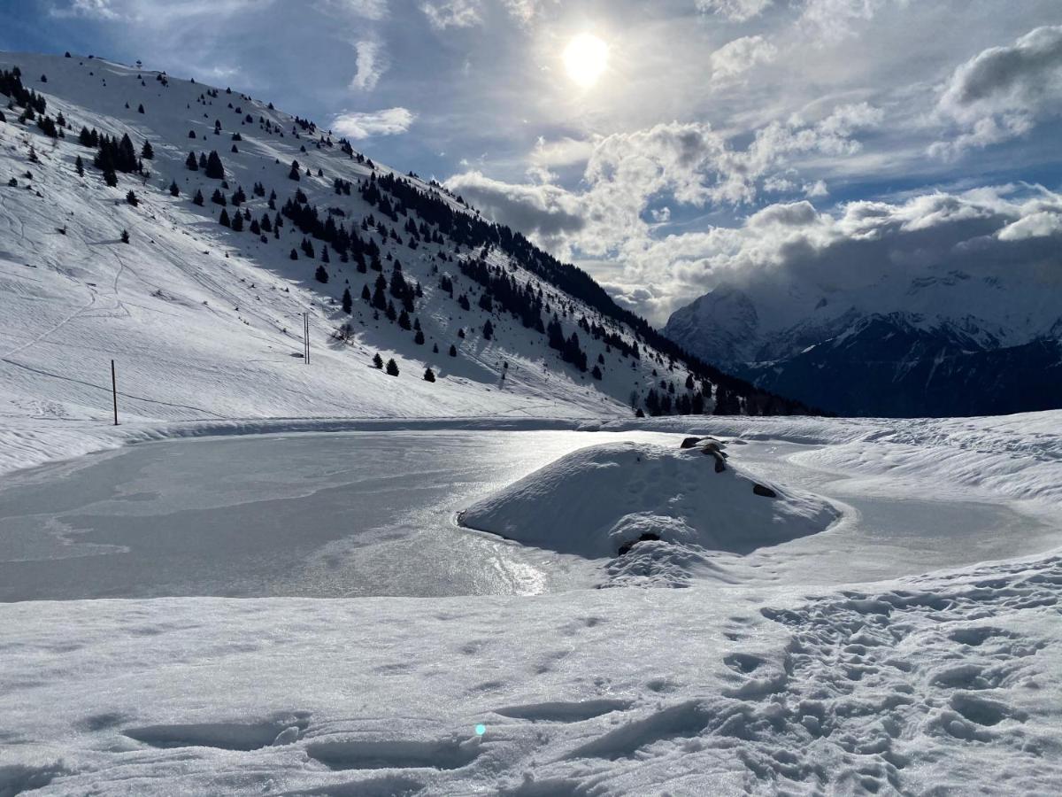 Chalet Le Montana Villard-Reculas ภายนอก รูปภาพ